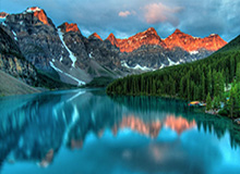 乐鱼官方网站：开启在线娱乐新纪元